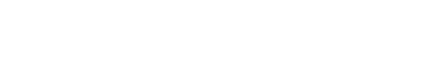Iconos